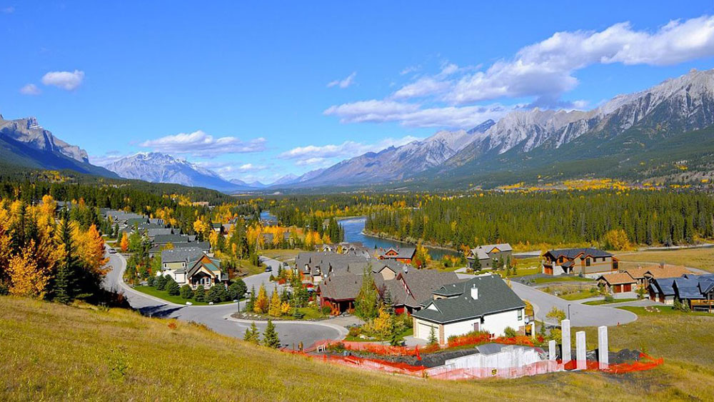 Professional Security Services in Alberta