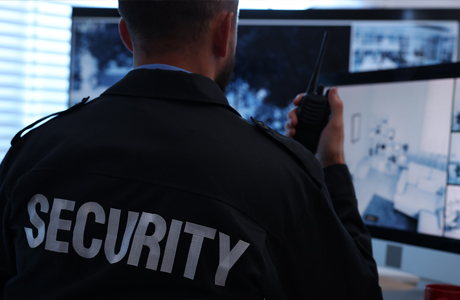 Surveillance-Monitoring-Support